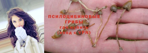 спиды Гвардейск