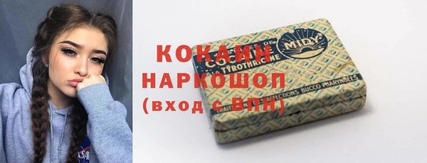 стафф Гатчина