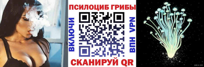 KRAKEN ссылка  купить   Рошаль  Галлюциногенные грибы ЛСД 